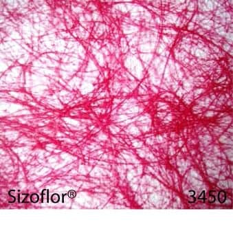 Sizoflor yfirdúkur 60cmx25m  3