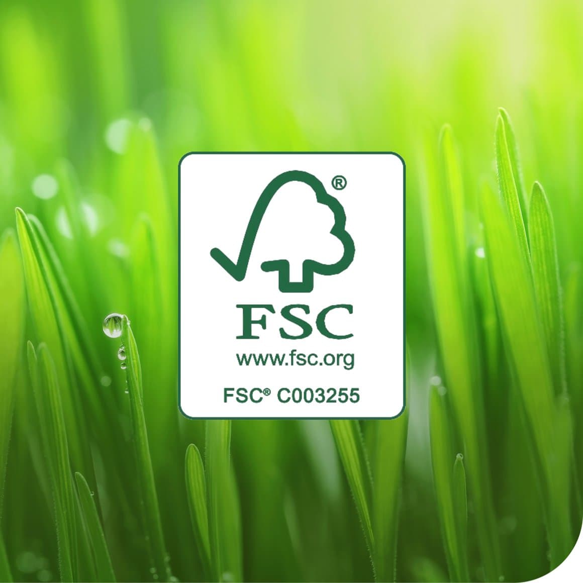 Tork serv. LinStyle 39cm grár 1/8f 50stk 4