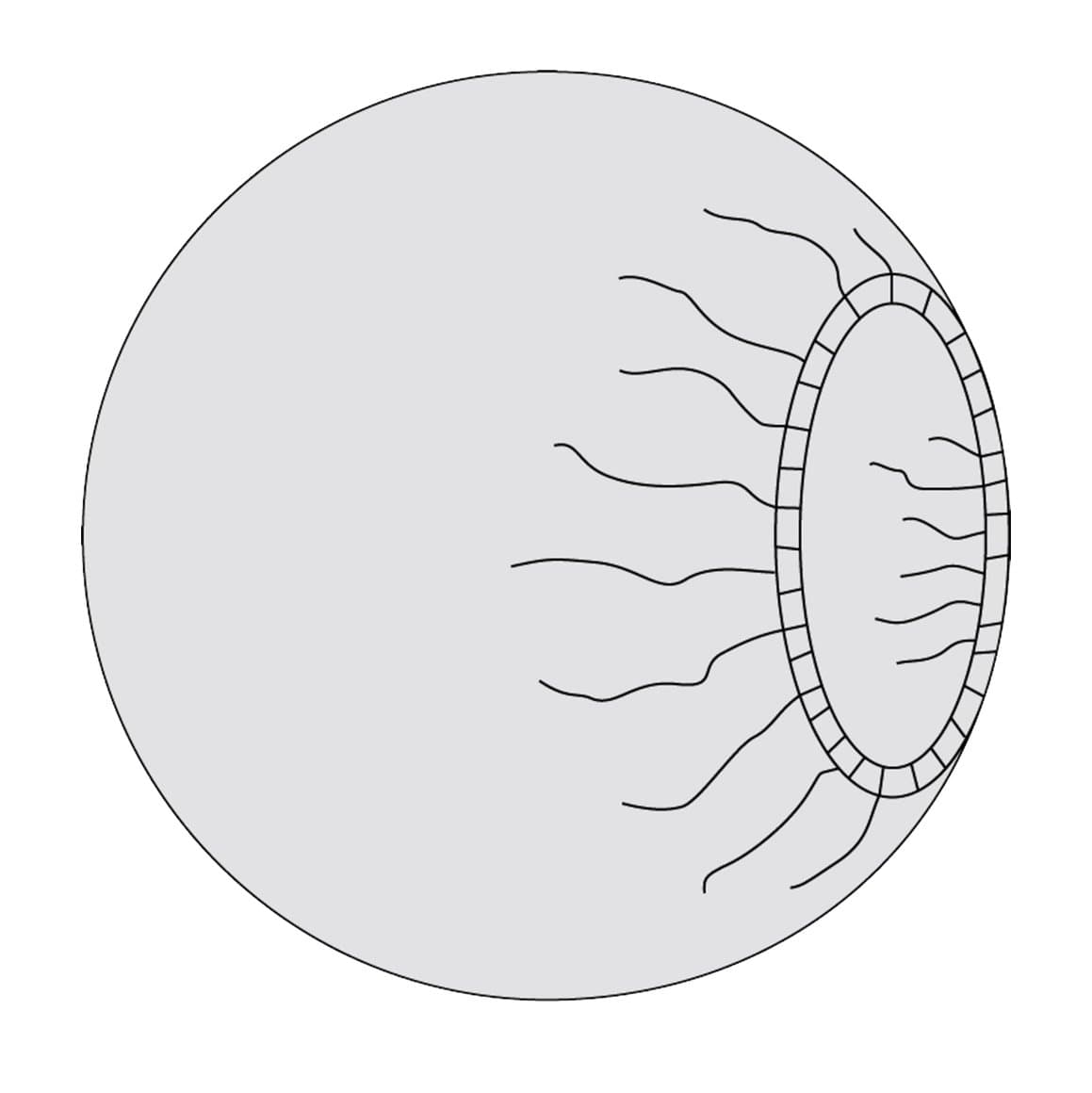 Mölnlycke Banded Bag 90cm Circular 44 stk 1