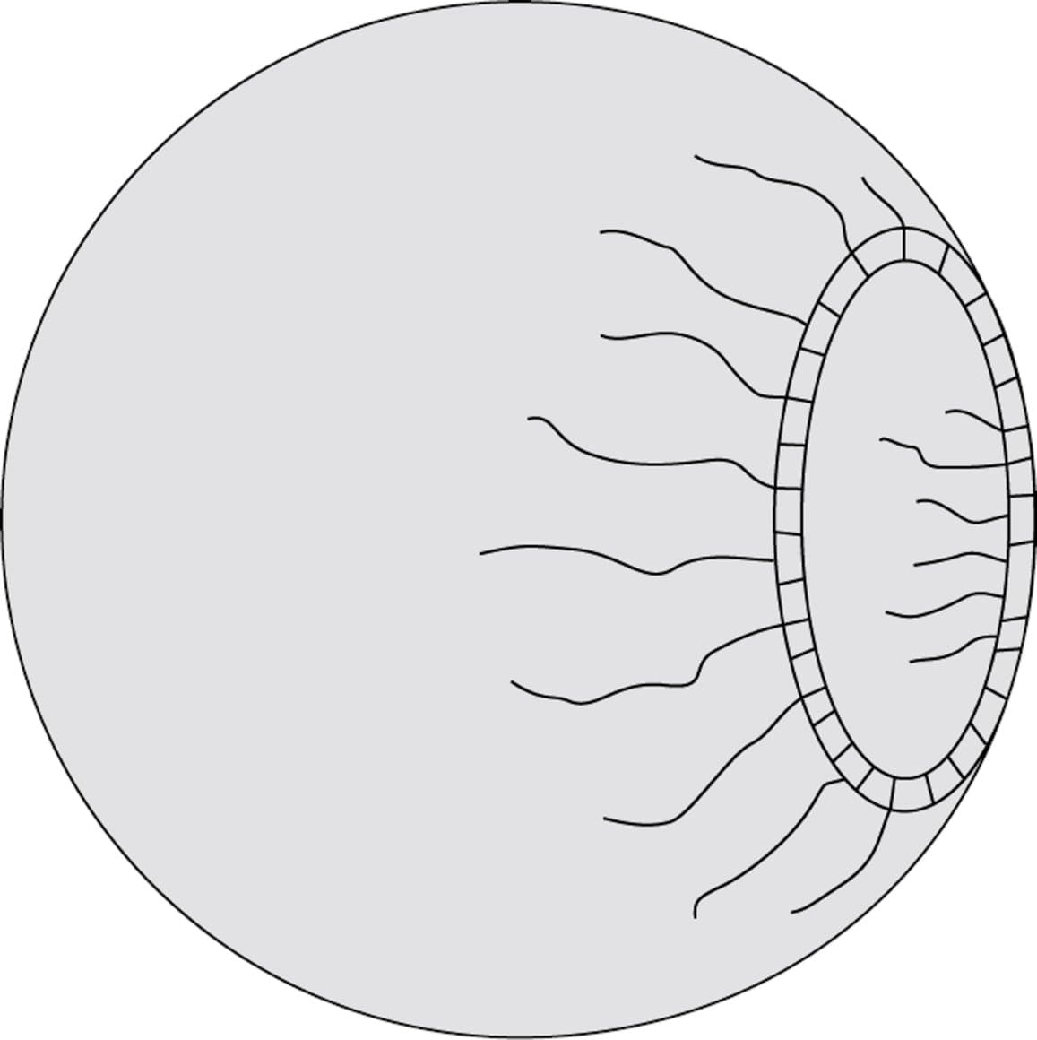 Mölnlycke Sterile cover, 90cm 26stk 1