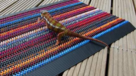 ABI burstamotta Chameleon 90 x 57,5 cm