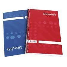 Glósubók Gorma 21x13cm blá og rauð 1