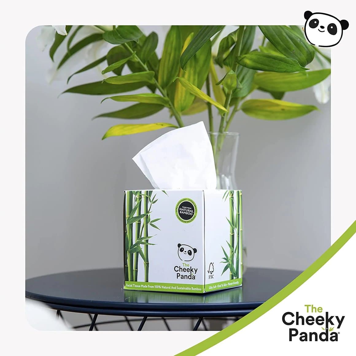 The Cheeky Panda bambus tissue box 56stk 1