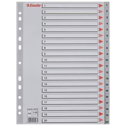 Esselte A4 Milliblöð 1-20